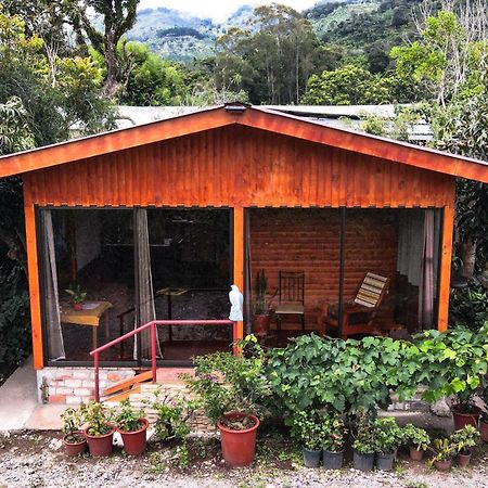 Vila Cozy Woodcabin Santa María Exteriér fotografie